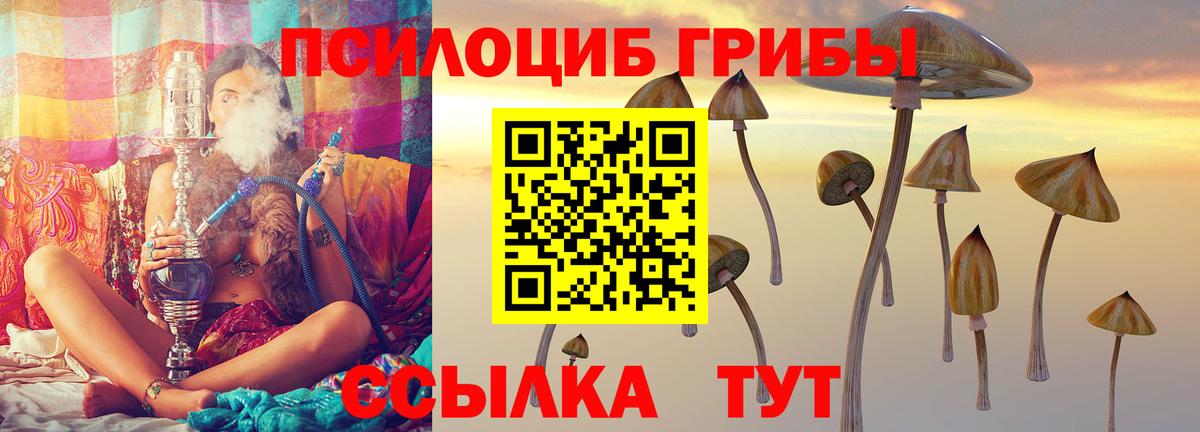 Псилоцибиновые грибы Psilocybe  Вход с VPN  Миллерово 